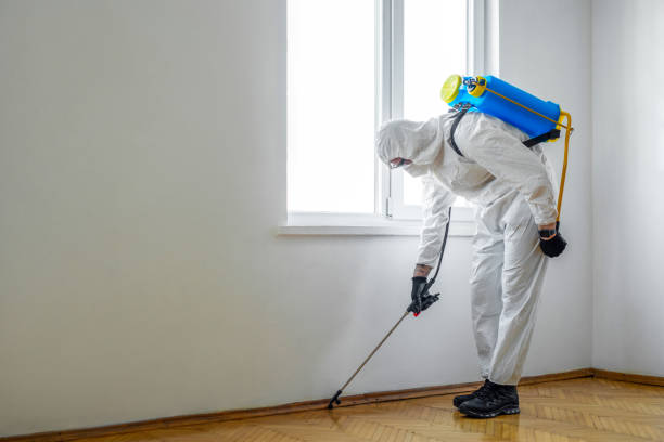 Best Commercial Pest Control  in Steubenville, OH